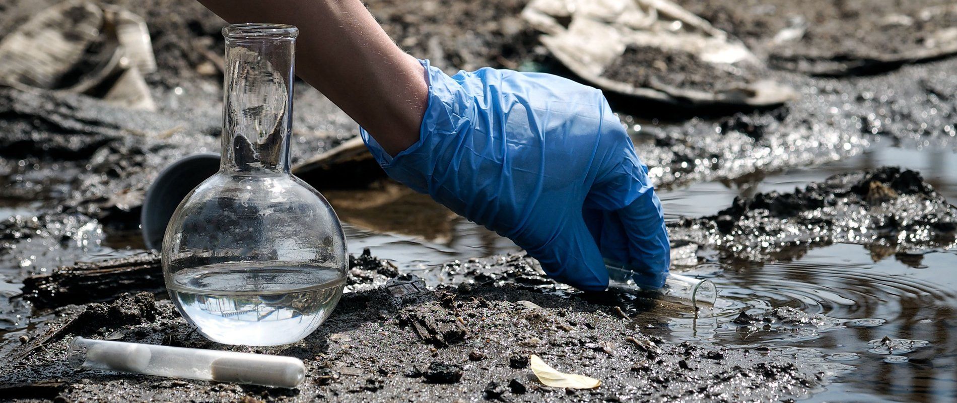 Lyell Environmental Services Inc