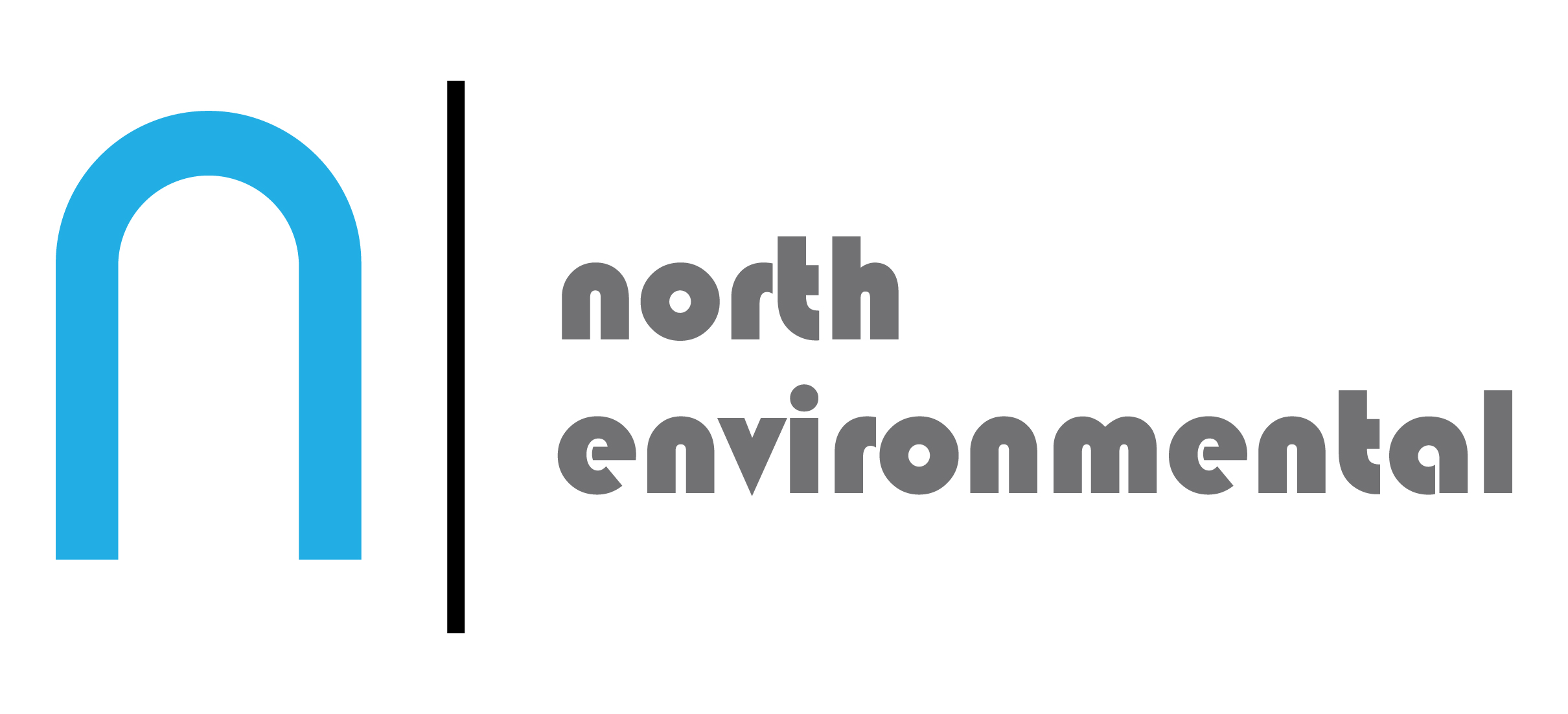 North Environmental Abatement Inc