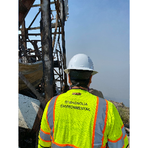 Magnolia Environmental - Asbestos Lead and Mold Testing - Orange County
