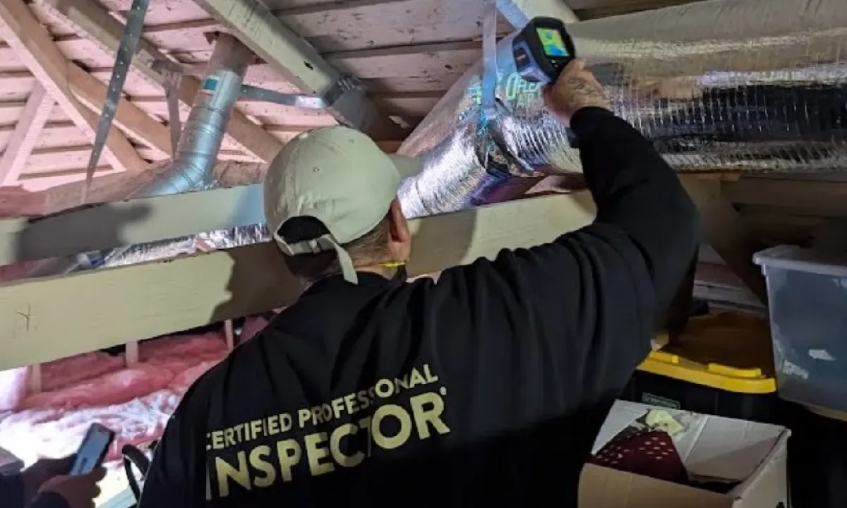 Fast Mold Testing - Chicago