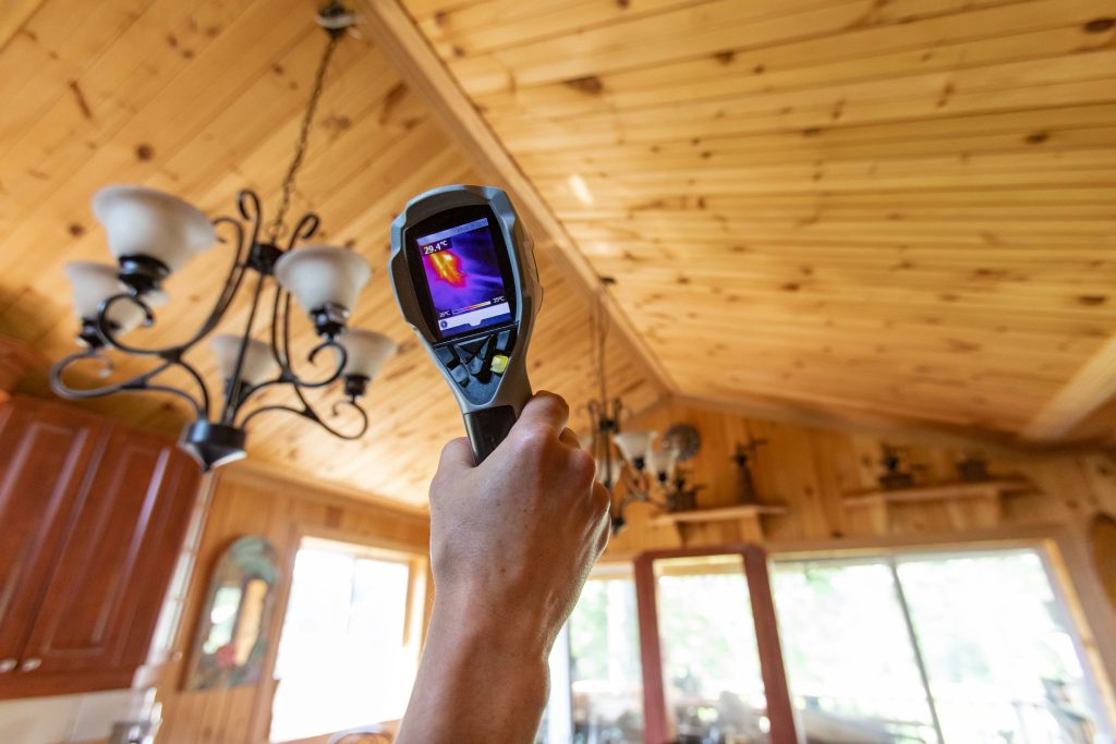 Mold Assessment Group