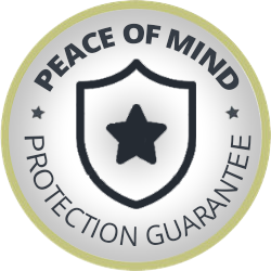 Mold Pro Chicago